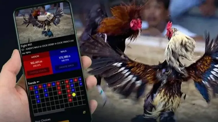 Bí Mật Đá Gà IWIN68 Hé Lộ Cách Thắng 99% Từ Các Chuyên Gia